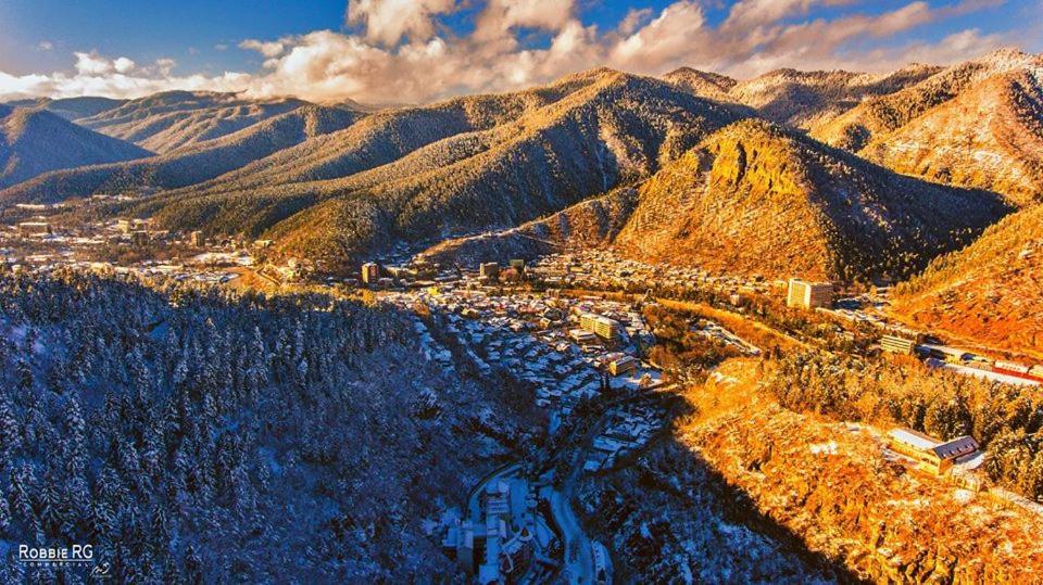 Guest House Besarioni Borjomi Εξωτερικό φωτογραφία