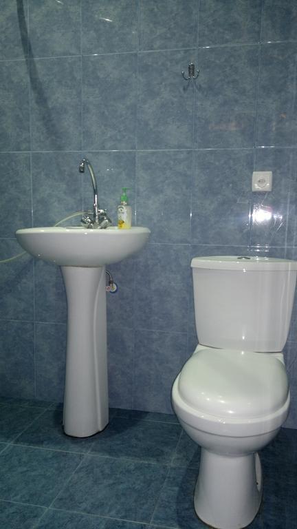 Guest House Besarioni Borjomi Δωμάτιο φωτογραφία